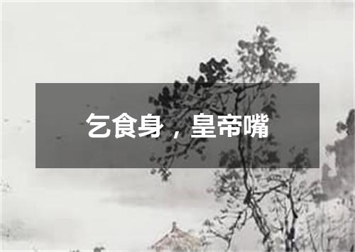 乞食身，皇帝嘴
