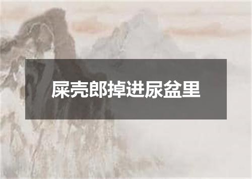 屎壳郎掉进尿盆里