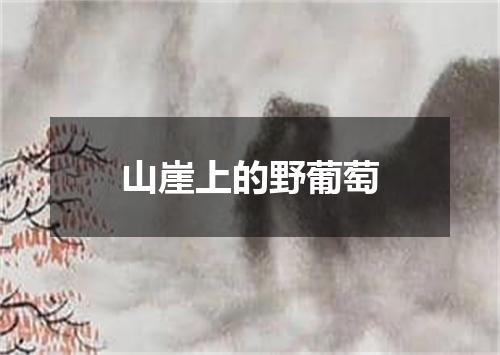 山崖上的野葡萄