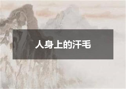 人身上的汗毛