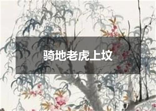 骑地老虎上坟