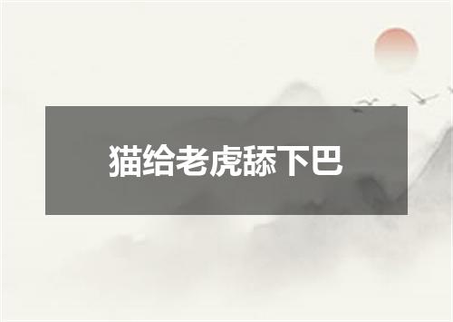 猫给老虎舔下巴