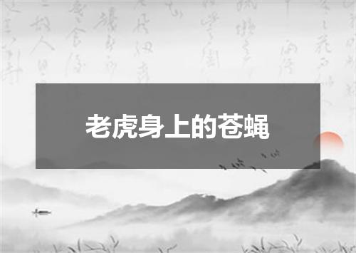老虎身上的苍蝇