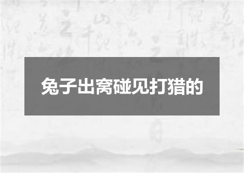 兔子出窝碰见打猎的