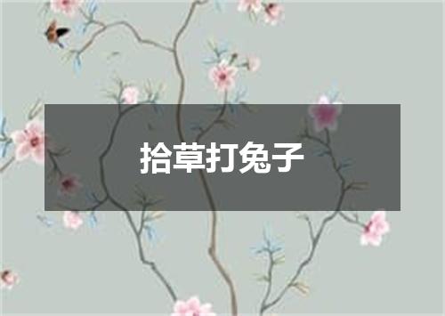 拾草打兔子
