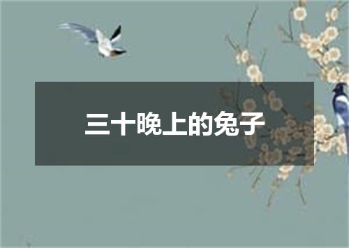 三十晚上的兔子