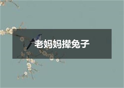 老妈妈撵兔子