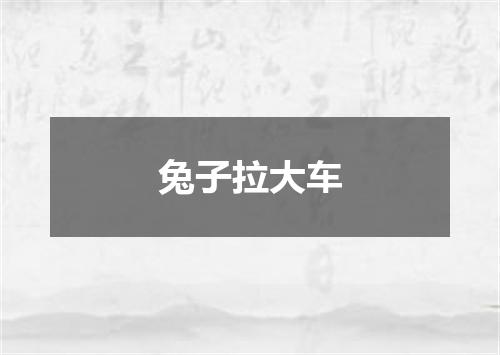 兔子拉大车
