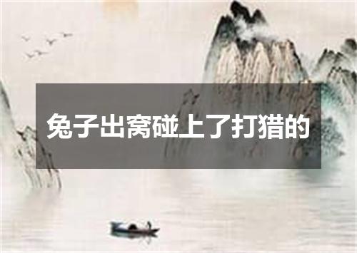 兔子出窝碰上了打猎的