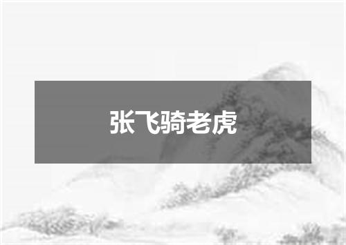 张飞骑老虎