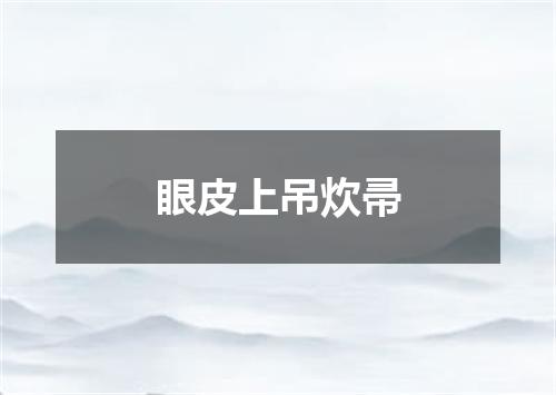 眼皮上吊炊帚