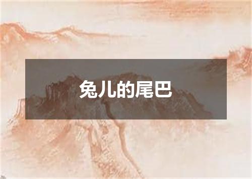 兔儿的尾巴