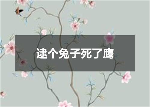 逮个兔子死了鹰