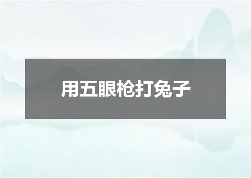 用五眼枪打兔子