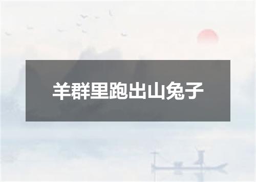 羊群里跑出山兔子