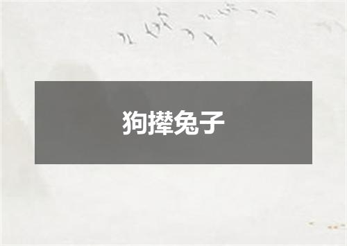 狗撵兔子