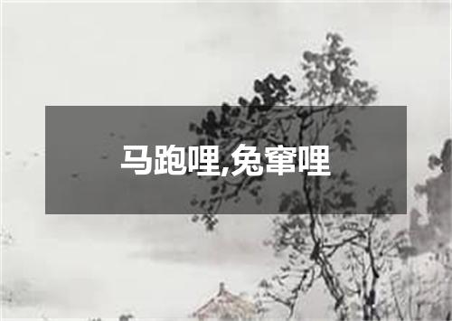 马跑哩,兔窜哩