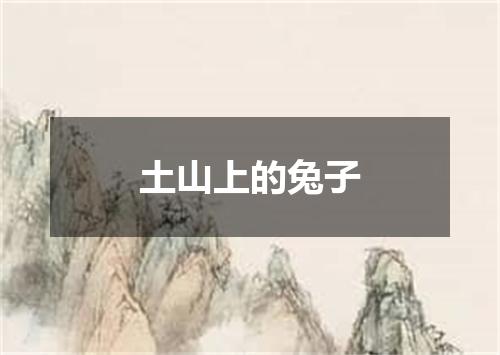 土山上的兔子