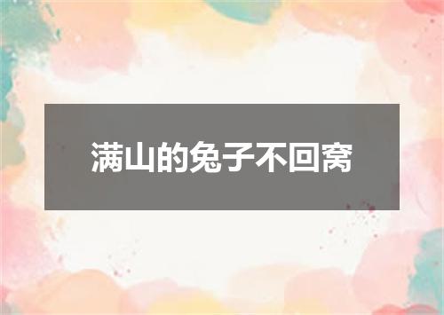 满山的兔子不回窝