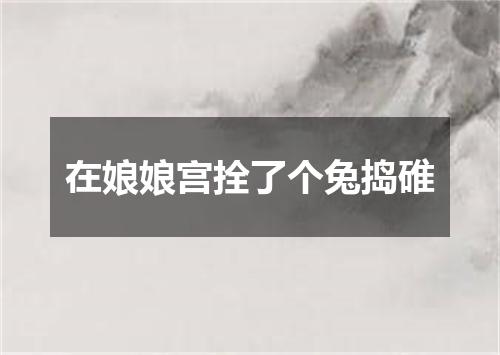 在娘娘宫拴了个兔捣碓