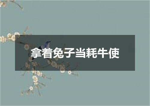 拿着兔子当耗牛使