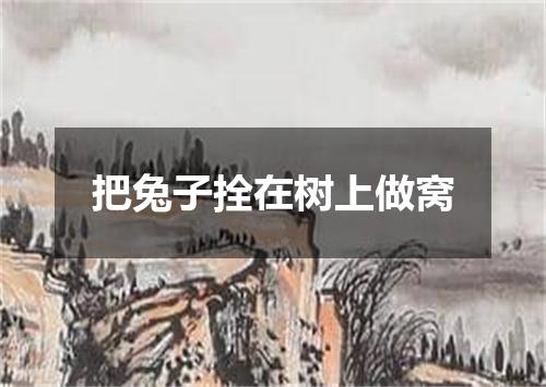 把兔子拴在树上做窝