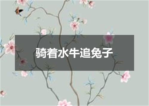 骑着水牛追兔子