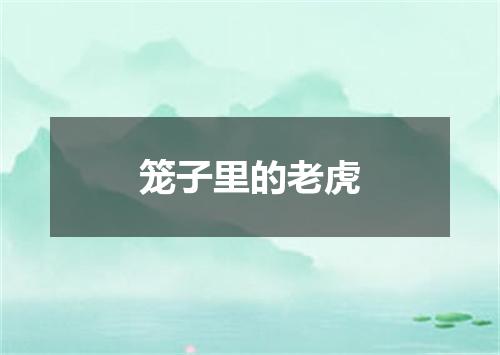 笼子里的老虎