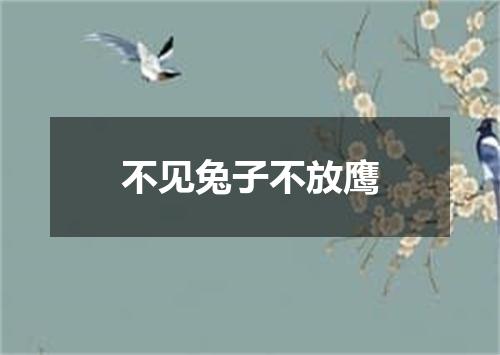 不见兔子不放鹰