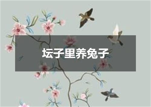 坛子里养兔子