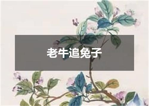 老牛追兔子