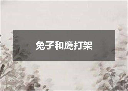 兔子和鹰打架