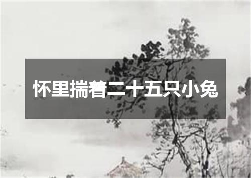 怀里揣着二十五只小兔