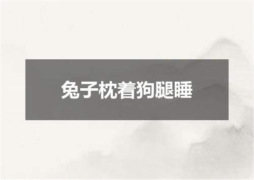 兔子枕着狗腿睡