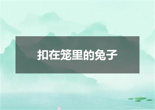 扣在笼里的兔子