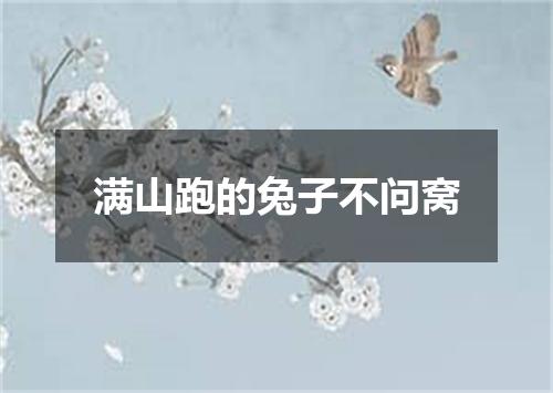 满山跑的兔子不问窝