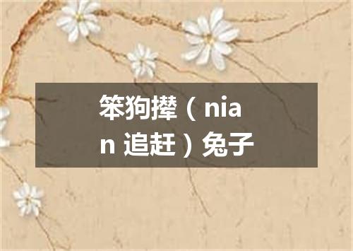 笨狗撵（nian 追赶）兔子