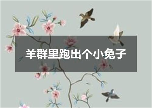 羊群里跑出个小兔子