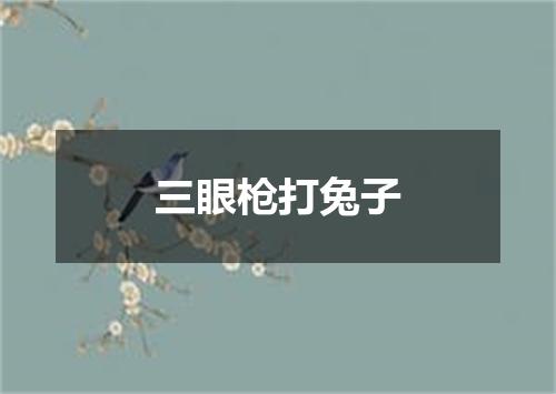 三眼枪打兔子