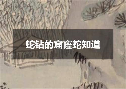 蛇钻的窟窿蛇知道