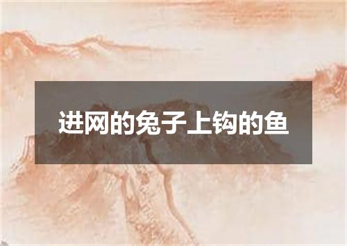 进网的兔子上钩的鱼