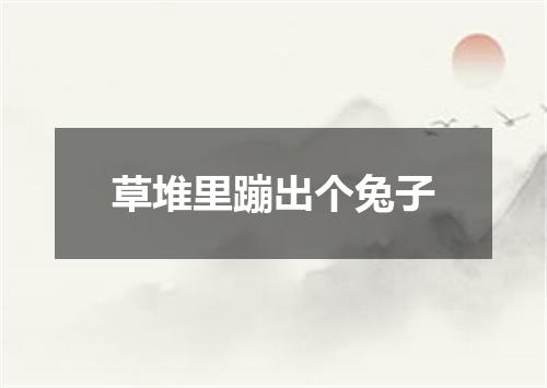 草堆里蹦出个兔子