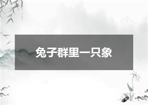 兔子群里一只象