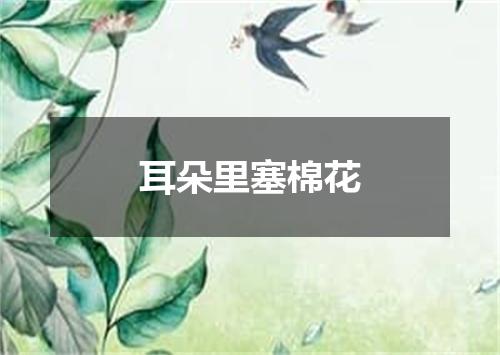 耳朵里塞棉花