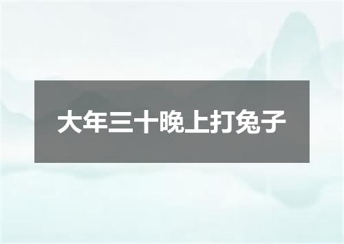 大年三十晚上打兔子