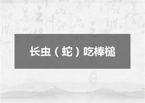 长虫（蛇）吃棒槌
