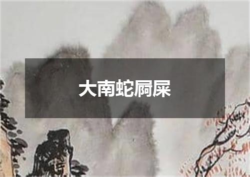 大南蛇屙屎