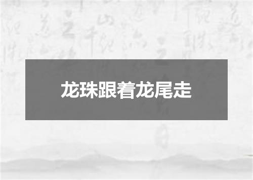 龙珠跟着龙尾走