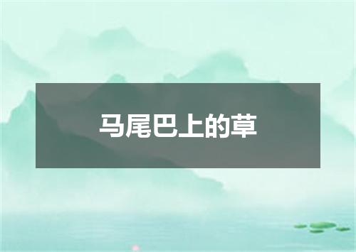 马尾巴上的草