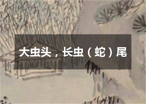 大虫头，长虫（蛇）尾